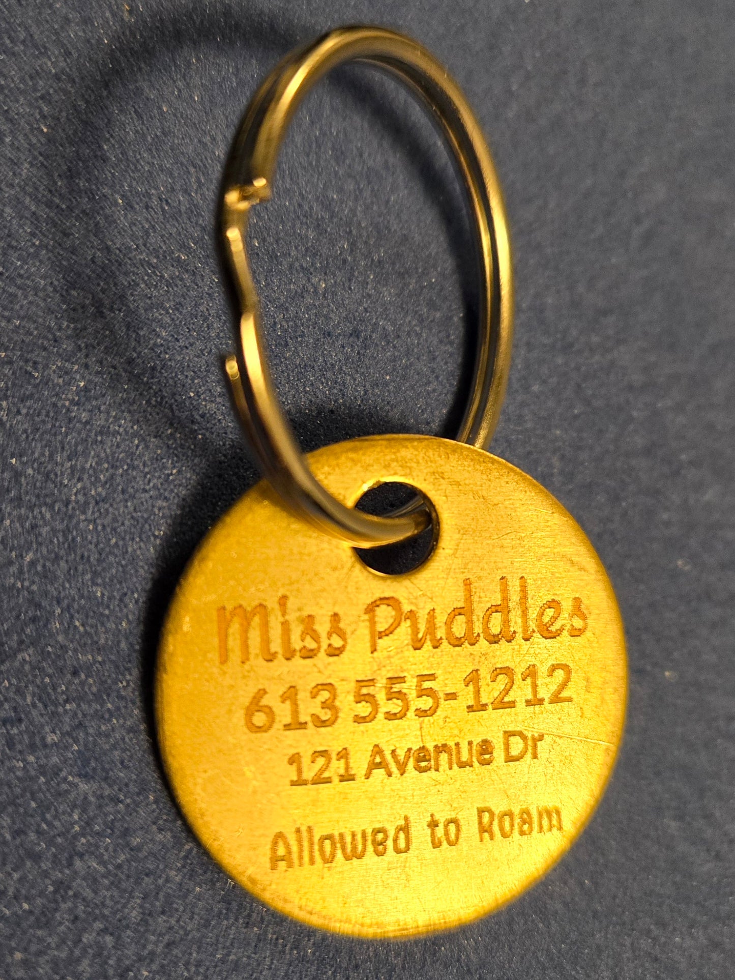 Pet Tag - 1 inch